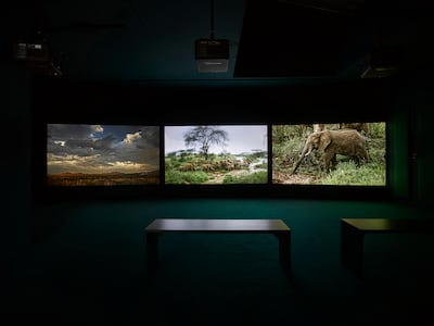 John Akomfrah's Four Nocturnes, 2019. Photo: John Akomfrah