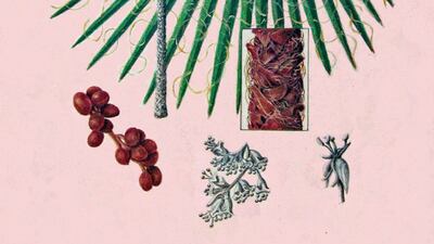 Kathleen Konicek-Moran for The National