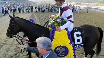 Royal Delta, who won the Breeders' Cup Ladies' Classic Santa Anita in California in November, arrives in Dubai tomorrow from Floriday along with Animal Kingdom ahead of the Dubai World Cup. Joe Klamar / AFP
