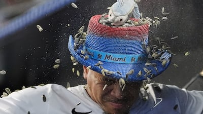 Miami Marlins' Heriberto Hernandez is showered with sunflower seeds in the dugout after hitting a home run. AP