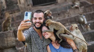 Monkeys climb onto tourists during the annual Monkey Festival in Lopburi province, Thailand, November 26, 2023. REUTERS / Chalinee Thirasupa TPX IMAGES OF THE DAY