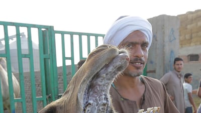Camel sellers at the Birqash Camel Market outside Cairo, Egypt. All photos by EPA