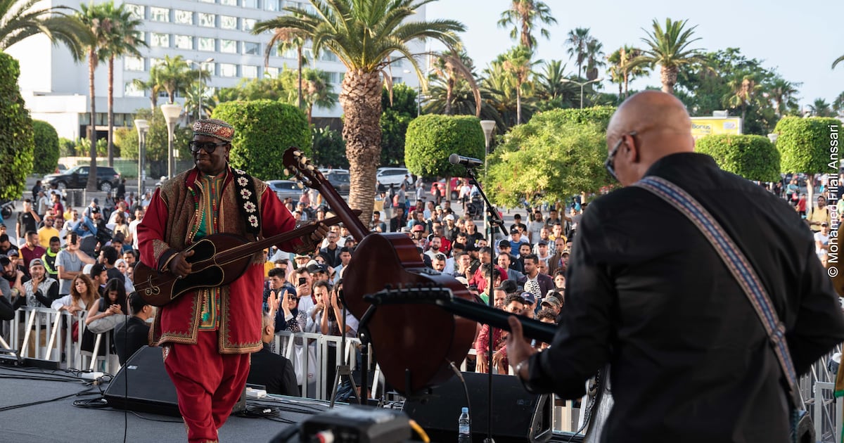 Beyond the Usual Circuit: Unveiling Summer's Most Captivating Music Festivals