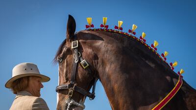 A shire horses is judged on the first day of the 167th Great Yorkshire Show in Harrogate, England. Getty Images
