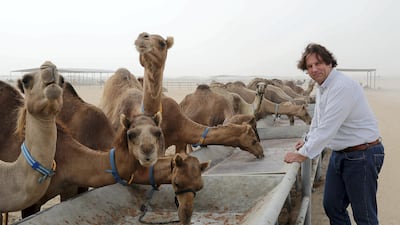 Dr Peter Nagy says two decades in the Middle East have taught him to have a great respect for the 'ships of the desert'. Pawan Singh / The National