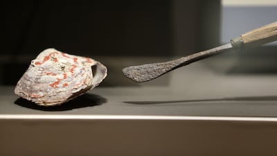 A knife used for opening oyster shells on display.