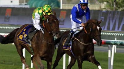 Richard Hills, on the far right, will guide the fortunes of Markoo, the Purebred Arabian horse owned by Sheikh Hamdan bin Rashid, in tonight's fifth meeting at the Nad Al Sheba.
