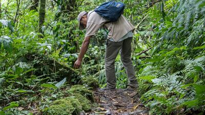 The Puma Trail, Nicaragua. Jamie Lafferty