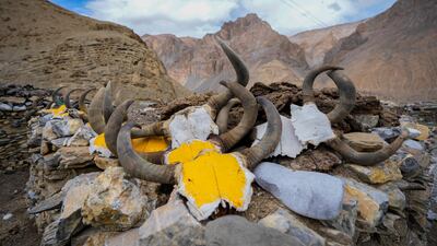 Animal skulls are displayed atop a mud house, meant to ward off evil spirits, in the remote Kharnak village in the cold desert region of Ladakh, India, Saturday, Sept. 17, 2022. Konchok Dorjey now lives with his wife, two daughters and a son in Kharnakling, where scores of other nomadic families from his native village have also settled in the last two decades. (AP Photo / Mukhtar Khan)