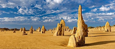 The Pinnacles. Courtesy Tourism Western Australia