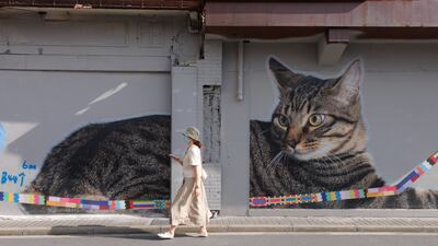 Gao Youju, a Shanghai-born cartoonist, has painted the city’s Fangbang Middle Road with cat murals. EPA