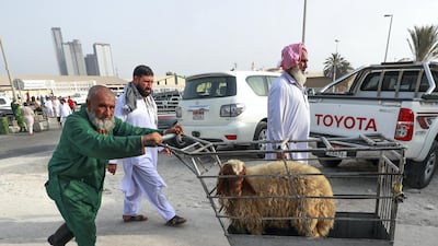 A slaughter house worker delivers a sheep to be processed.