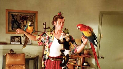 Ace Ventura: When Nature Calls (Nov 10). Courtesy of Morgan Creek Productions