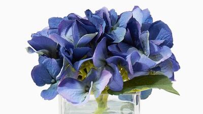 A handout photo of Blue Hydrangea Bouquet (Courtesy: NDI)