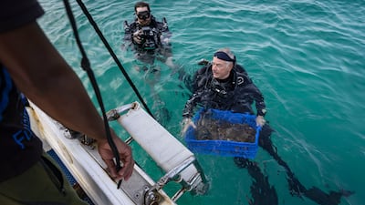 Freestyle Divers owner Darryl Owen with coral samples from the Project REEFrame nursery reef, 4km south of Dibba Rock. Antonie Robertson / The National