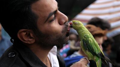 An Iraqi man kisses the beak of a bird at the Ghazl Market in central Baghdad. AFP