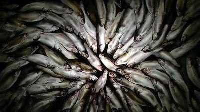 A work from Pooya Razi's Behind the Scenes series. Courtesy Pooya Razi / Etemad Gallery