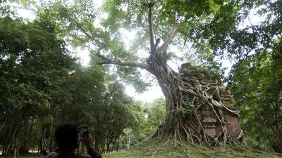 A tourist visits Sambor Prei Kuk. It has been listed as a UNESCO world heritage site. Samrang Pring / Reuters