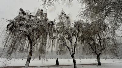 A Kashmiri man walks inside a park after a fresh snowfall in Srinagar. Tauseef Mustafa / AFP Photo