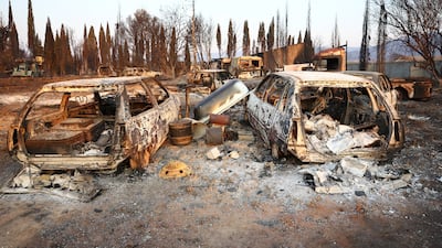 'We've never seen anything like this, it's truly tragic,' Mr Marty said. Reuters