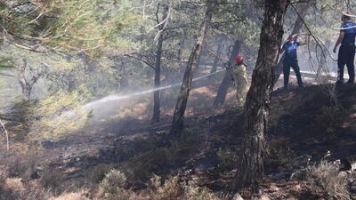 Firefighters and volunteers try to tackle a wildfire. AFP