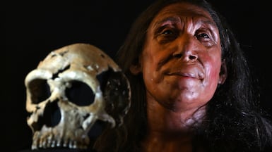 Research shows Neanderthals coexisted with humans for about 7,000 years until the group eventually died off. AFP