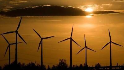 A wind farm near Dessau. Reuters