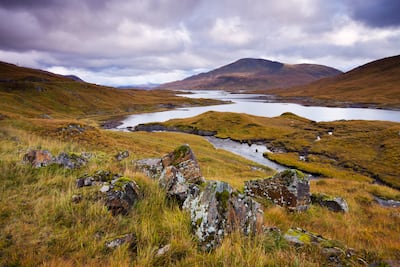 Autumn moorland and mountains beside Loch Quoich in the Scottish Highlands. AFP