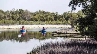 Abu Dhabi, UAE. March 12th 2016. Kayakers at the Abu Dhabi mangroves, from a boat tour of the area. Alex Atack for The National.