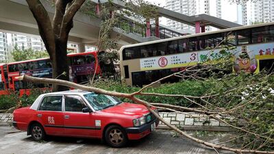 A tree rests on a damaged taxi following the passage of super Typhoon Mangkhut in Hong Kong. AFP