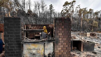 A burnt-out restaurant after a forest fire near Melloula in north-western Tunisia, near the Algerian border. AFP