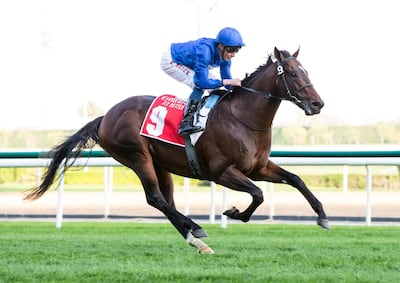 Blue Point will aim to win the Al Quoz Sprint after his late withdrawal from last year's race. Erika Rasmussen for The National