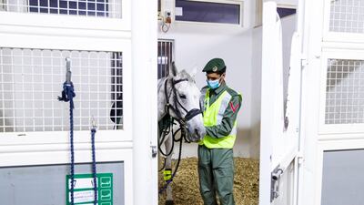 Horses allow police high visibility and play an important role in keeping the streets clear during the crisis. Reem Mohammed / The National