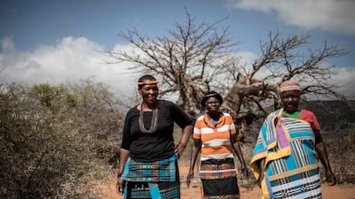 Baobab fruit harvesters Annah Muvhali, 55, (L) Cristina Ndou, 58, (C) and Elisah Paswana, 58, (R) walk in front of a open field where they harvest baobab fruits in the village of Muswodi Dipeni, in the Limpopo Province, near Mutale, on August 28, 2018