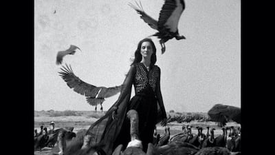 Towers of Silence (1975) is a Gothic, dreamlike montage of ancient burial rituals shot in Karachi and New York Courtesy Jamil Dehlavi