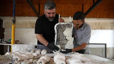 A worker helps Omar Sartawi, a Jordanian chef, as he recreates an ancient statue found in Jordan using a famous local product - Jameed (dried goat's milk used in the country's national dish), at his workshop in Amman, Jordan. REUTERS