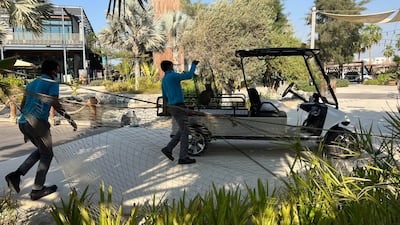 There are regular calls for a trap-neuter-release programme to be introduced in Dubai. In such a scheme, stray animals are collected for or by the authorities before being neutered and returned to the location where they were found.