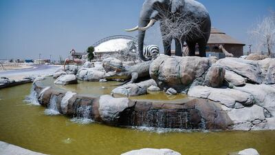 Final preparations are under way at Dubai Safari Park. Victor Besa for The National