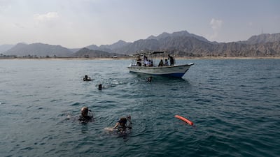 Members of Freestyle Divers involved in the World Unseen 2.0 coral reef restoration project near Dibba Rock, off Fujairah. Antonie Robertson / The National