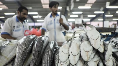 Sharks for sale in the UAE. Overfishing of various species has resulted in them being endangered. Antonie Robertson / The National