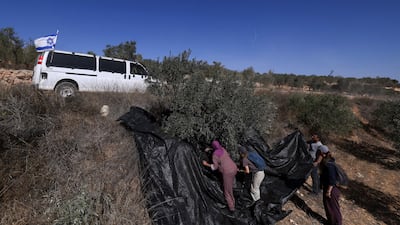Israeli security forces drive past Palestinians harvesting olives in the village of Turmus Ayya, on the outskirts of Ramallah. The UN has documented more than 30 Israeli settler attacks on Palestinians in the occupied West Bank village in one week during the harvest. AFP