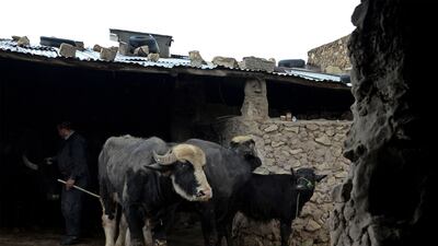 Urgent requests for vaccines have been sent to the government in Baghdad, Mr Al Abadi said