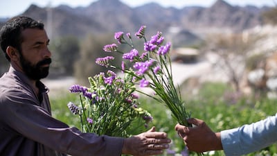 The UAE Flower Farm has recently opened to visitors, giving them the option to create their own bouquets with the help of the workers and paying directly on-site. Reem Mohammed / The National