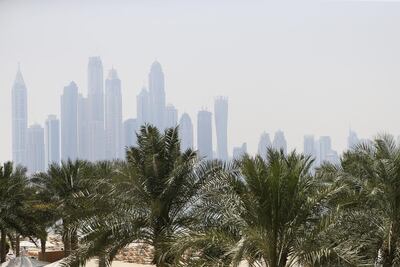 Trees play an important role in removing carbon from the atmosphere. Sarah Dea / The National