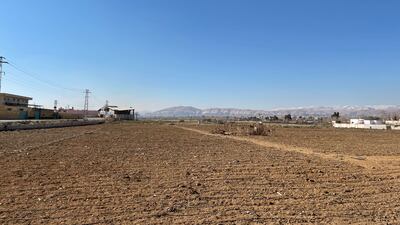 A field in Maliha, eastern Ghouta, with the Qalamun Mountains in the backgound