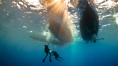 The competition had 450 entries from across 14 countries