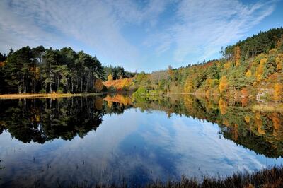 Carbisdale Castle comes with 20 acres of land, a private natural loch and wooded countryside that's home to several species of wildlife. Courtesy Strutt & Parker
