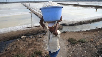 An Indian labourer carries a tub of salt at a salt pan on the outskirts of Mumbai. Over 3,000 acres of salt pan lands in Mumbai could be freed up for development to provide housing for squatters. Indranil Mukherjee / AFP