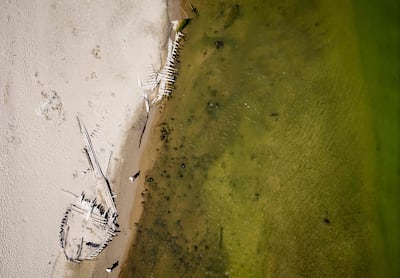 The wreck of the De Hoop, which sank in 1895, is exposed by falling water levels in the Rhine. AFP