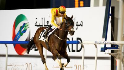 Reynaldothewizard is usually a slow-starter at the Meydan Racecourse, but he bucked the trend yesterday. Andrew Watkins / Dubai Racing Club